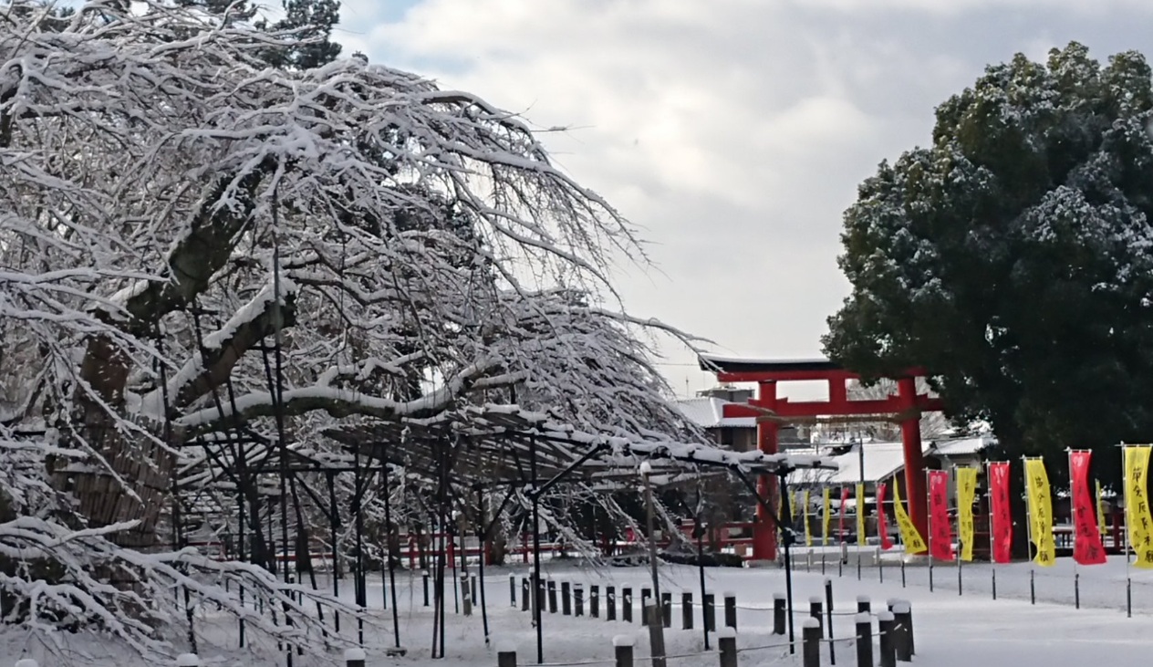 上賀茂神社　雪景色
